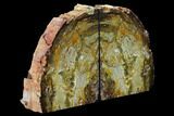 Tall Petrified Wood Bookends - Nevada #166114-2